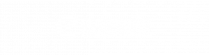 CorporateEssentials Logo White