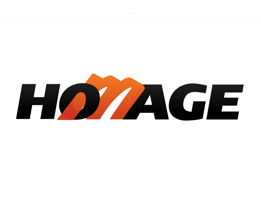 DSM Homage Logo
