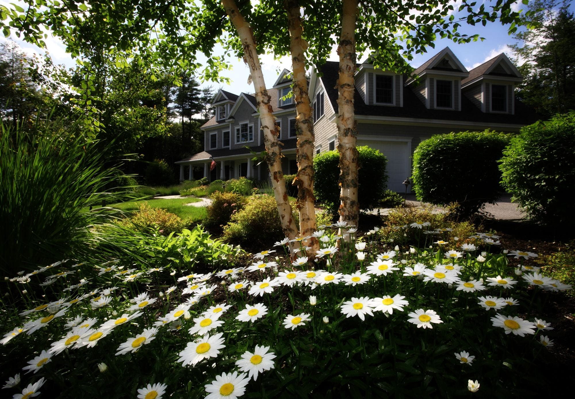 LandscapeStock