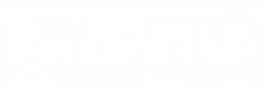 Omni Logo White