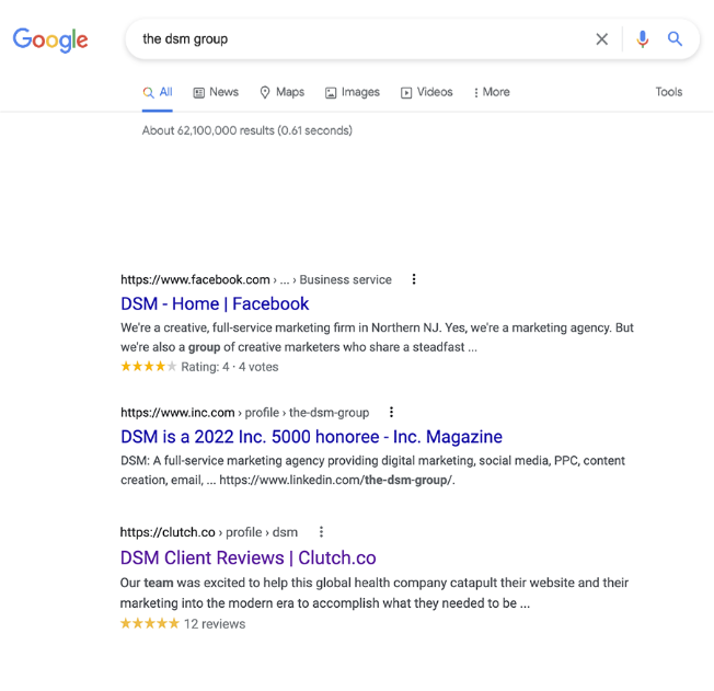 google search results page for the DSM Group